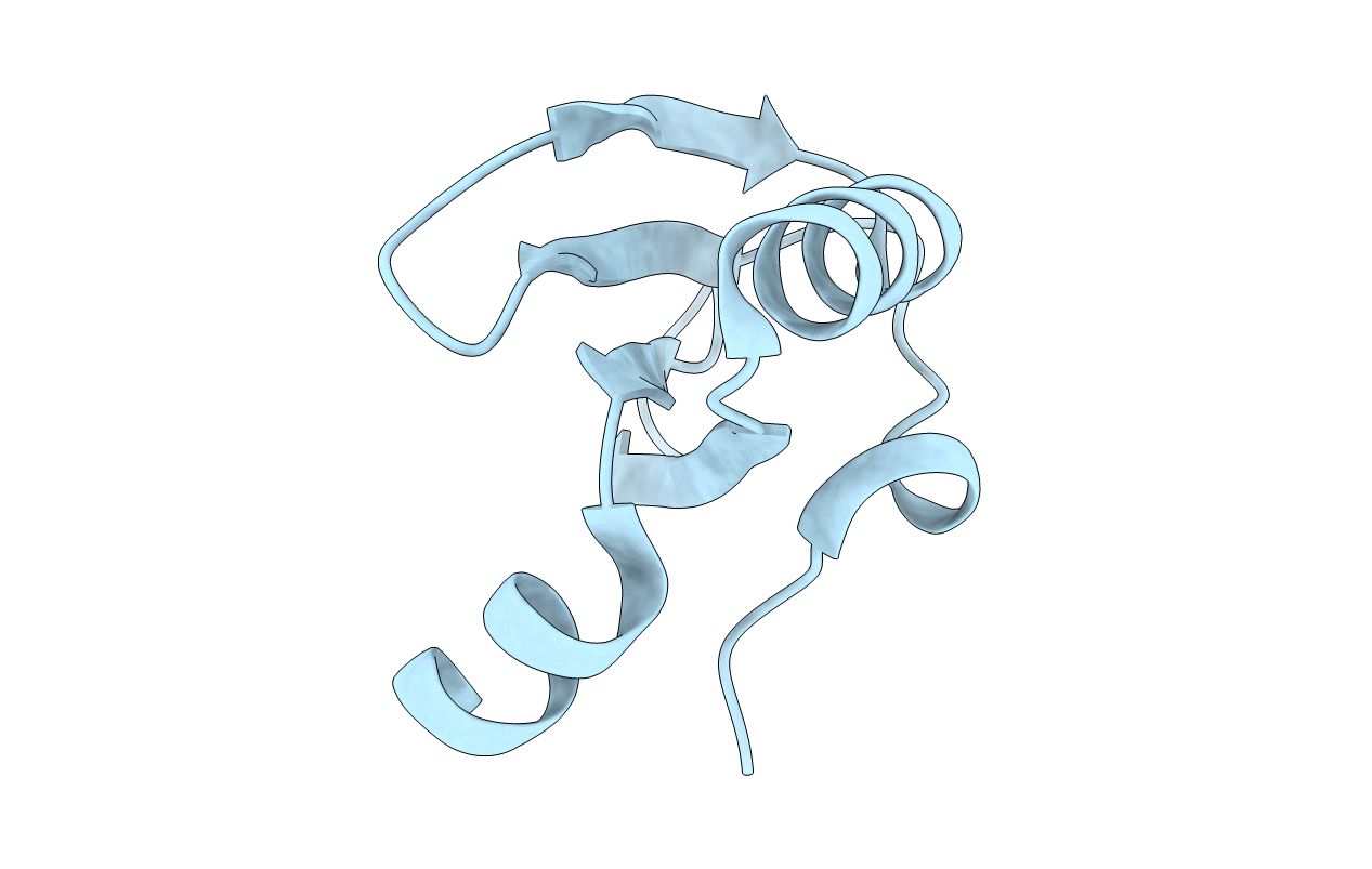 6O6D image