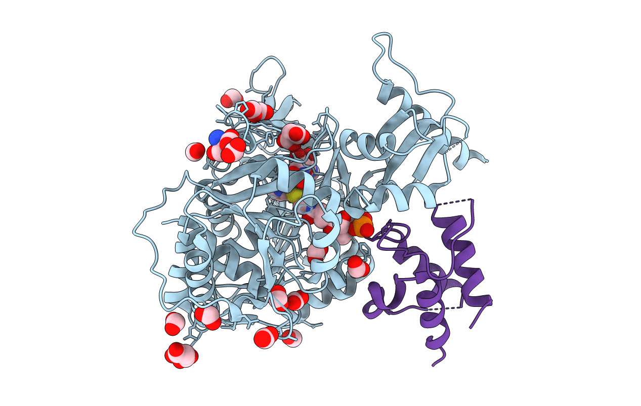 6O6E image