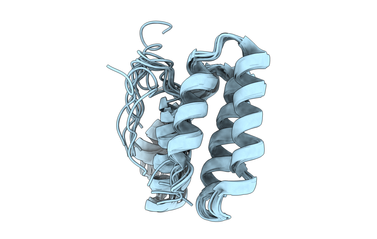 6O6I image