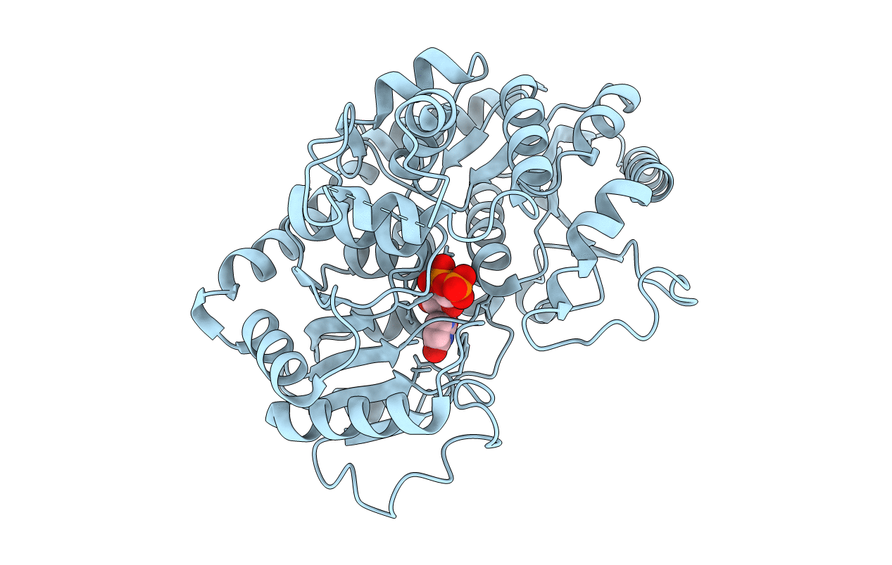 6O86 image