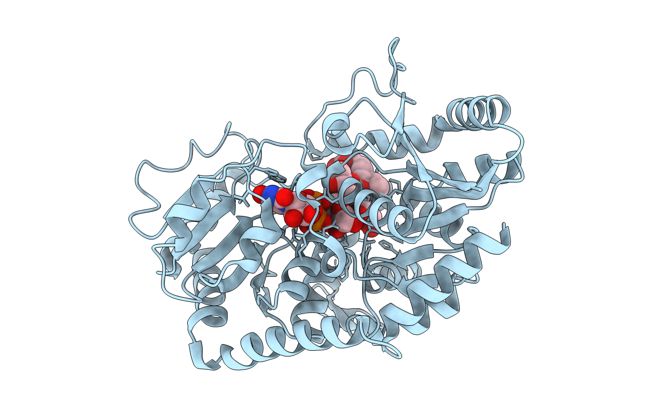 6O88 image