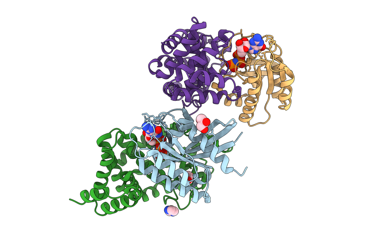 6OB2 image