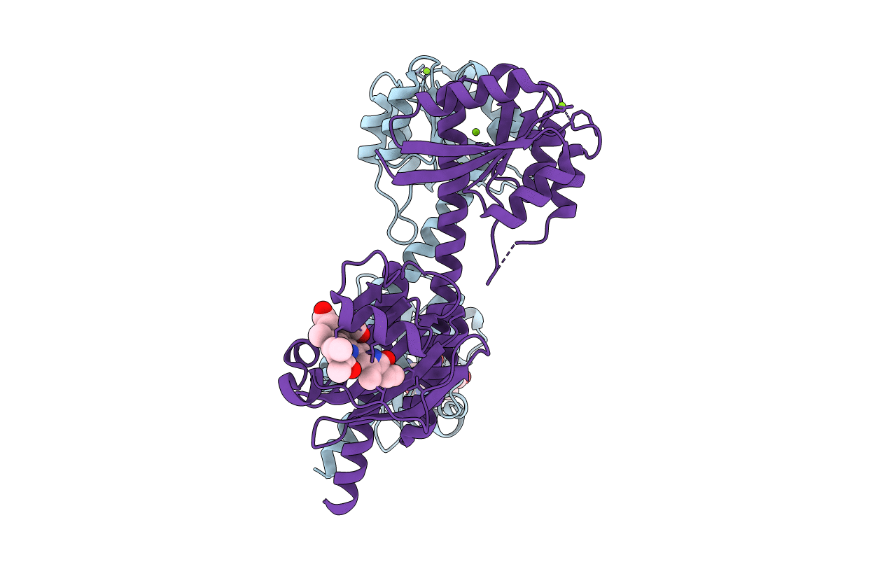 6OB8 image