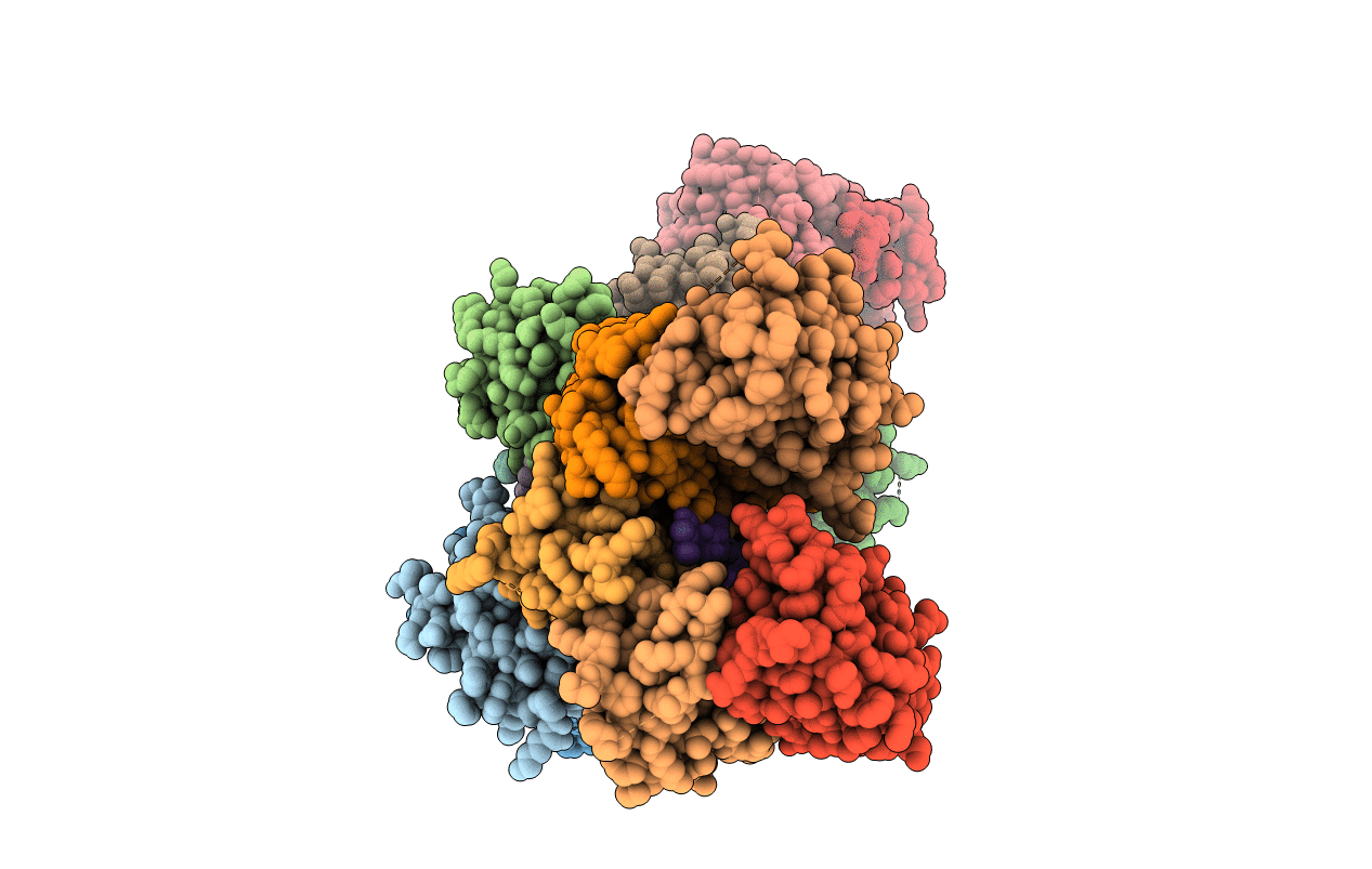 6OCP image