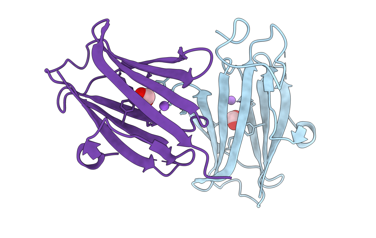 6OE6 image