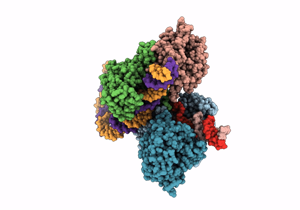 6OEP image