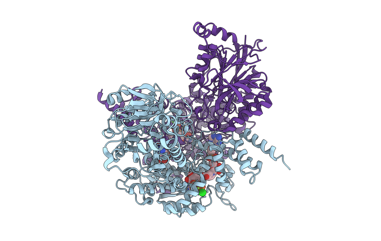 6OFB image