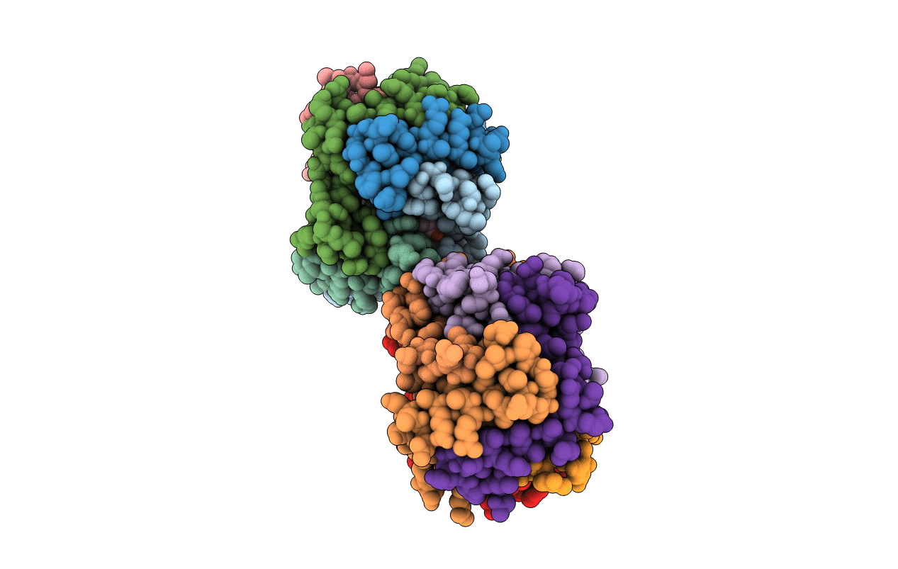 6OGM image