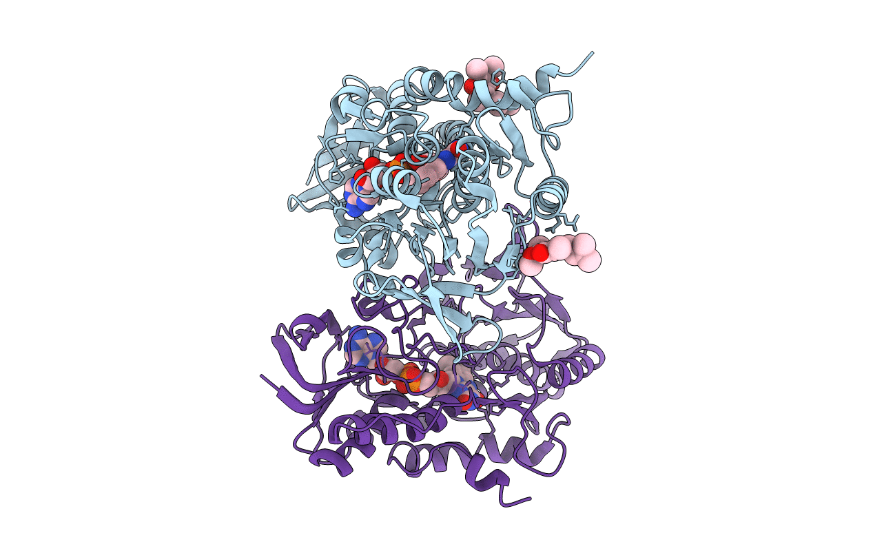 6OI6 image