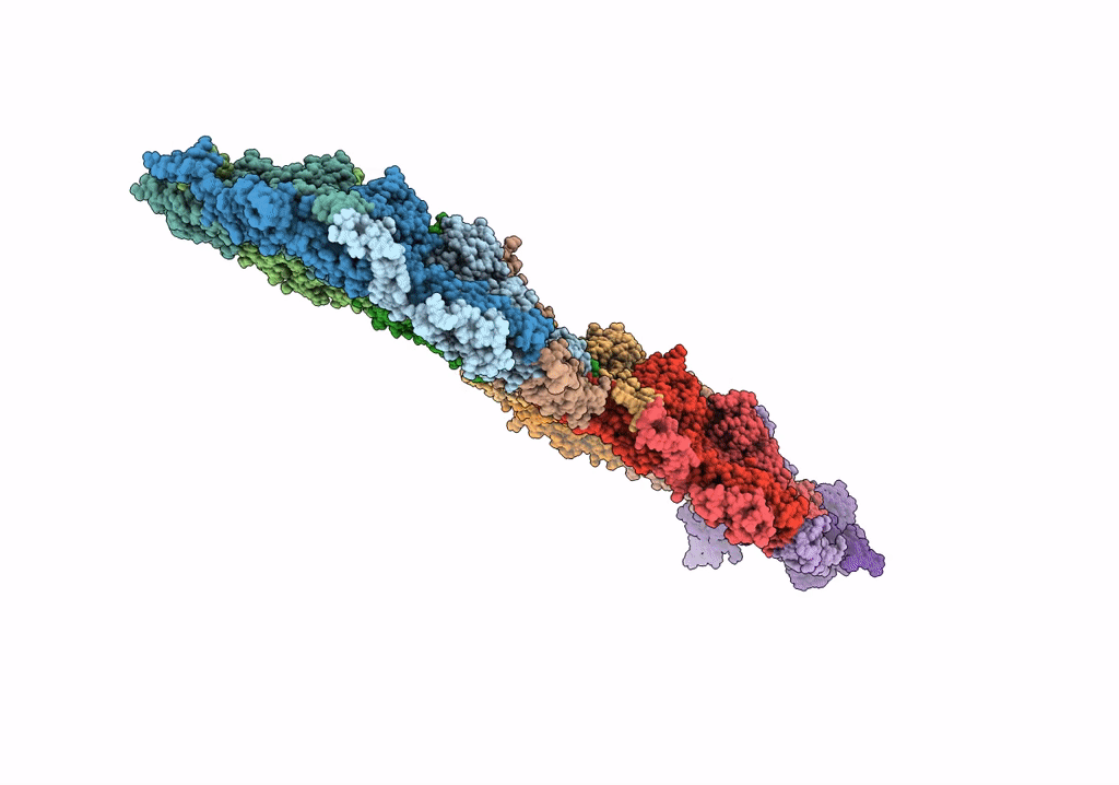 6OMC image