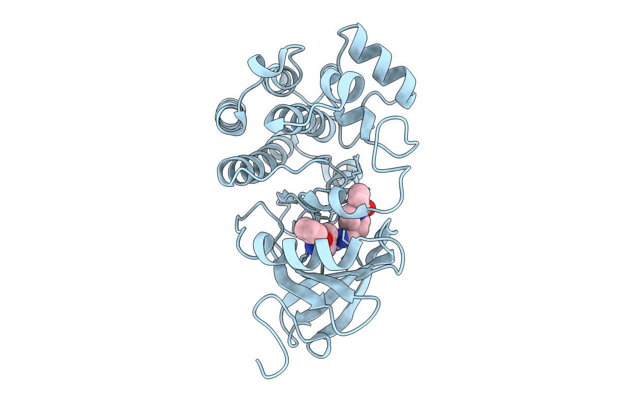 6OMU image