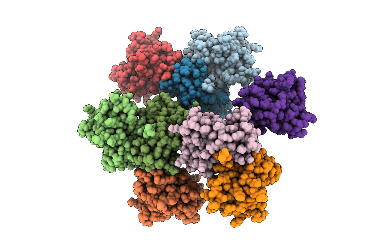 6OPB image