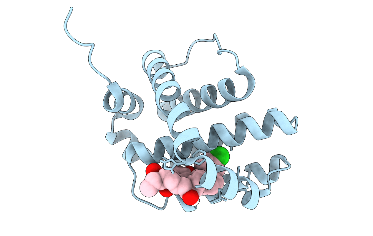 6OQB image
