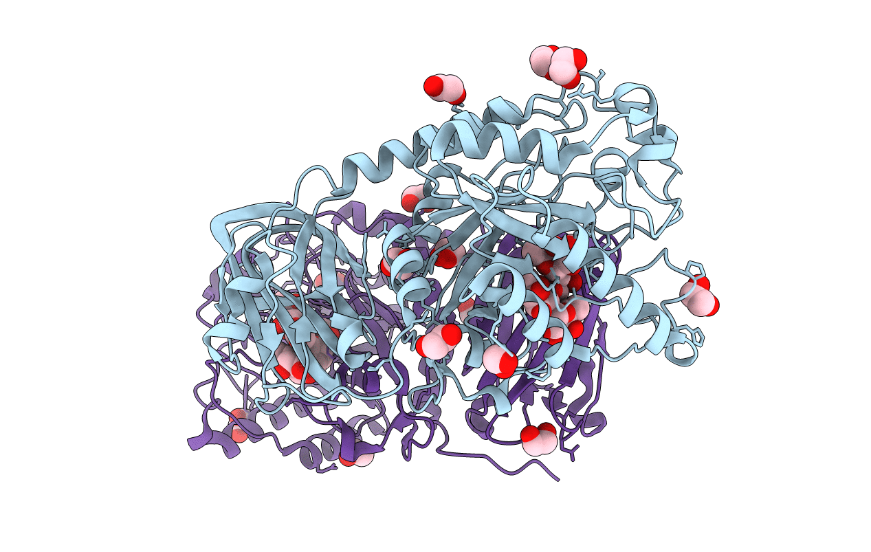 6ORH image