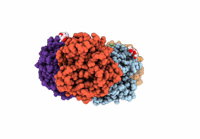 6OSZ image