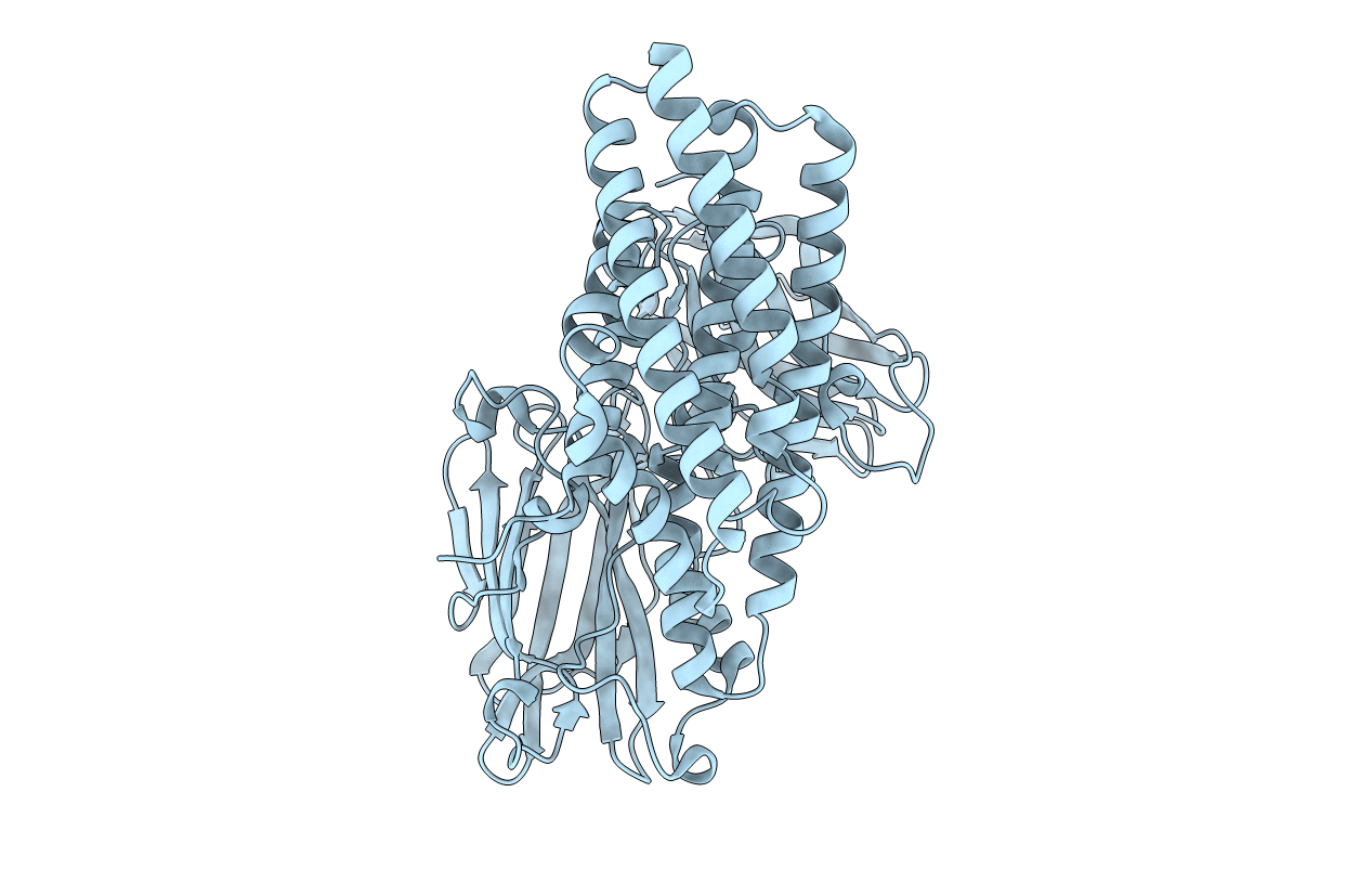 6OVB image