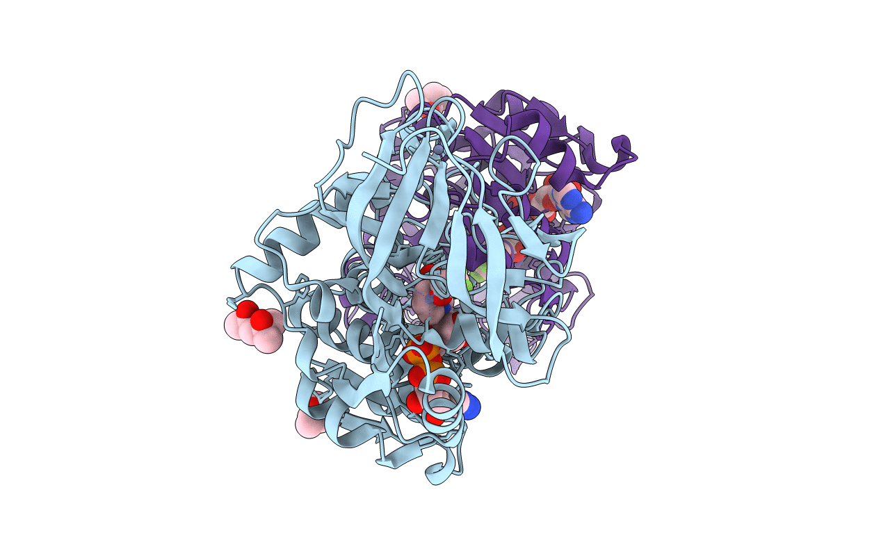 6OWP image