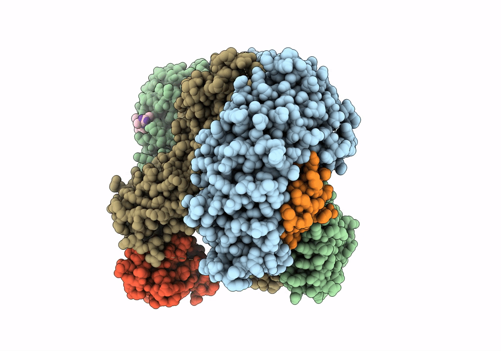 6OXL image