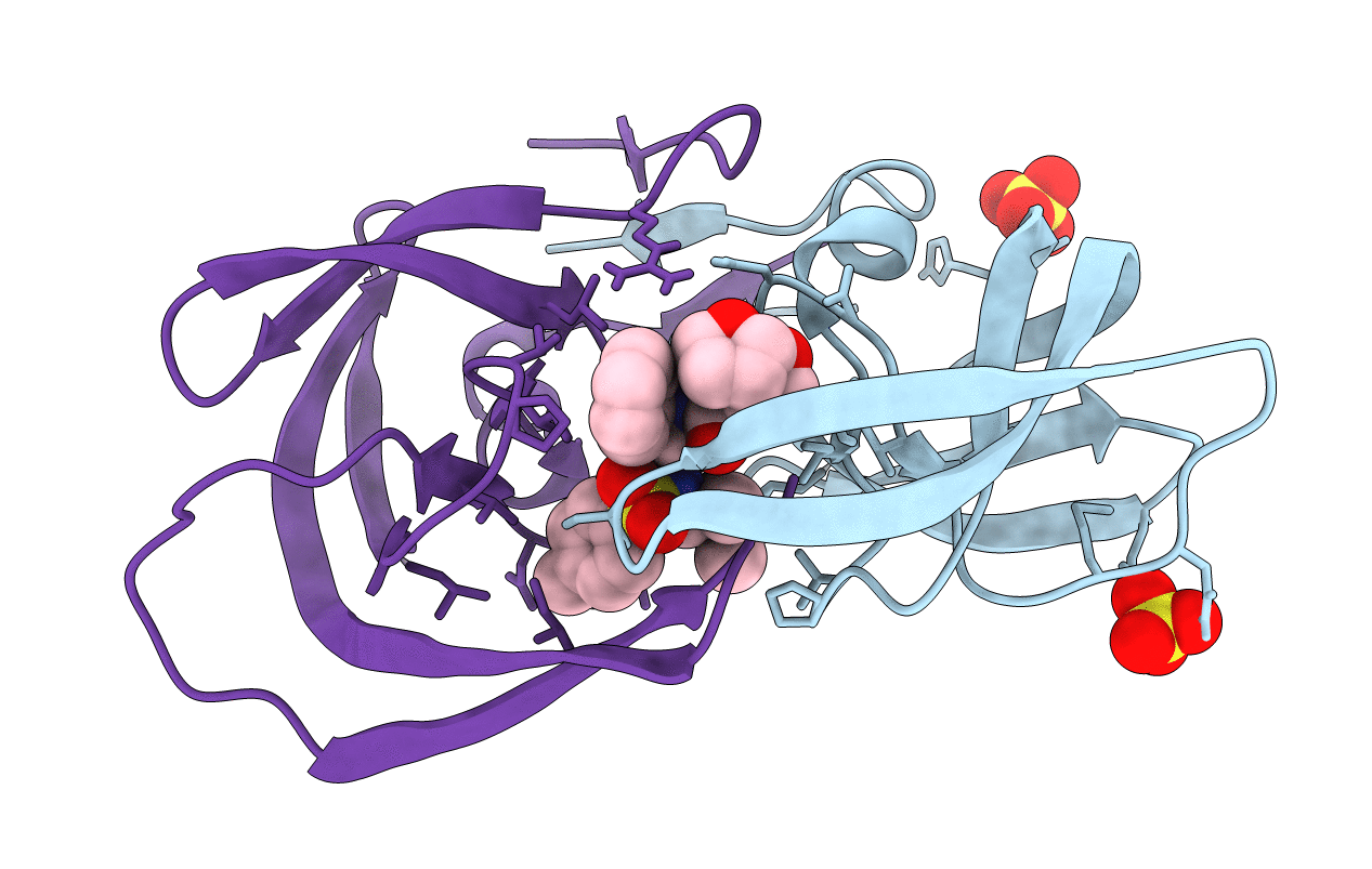 6OXP image