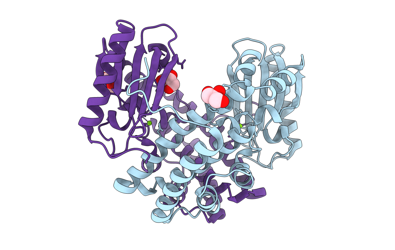 6P01 image