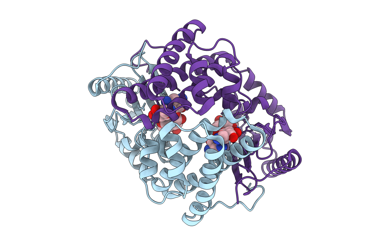 6P04 image