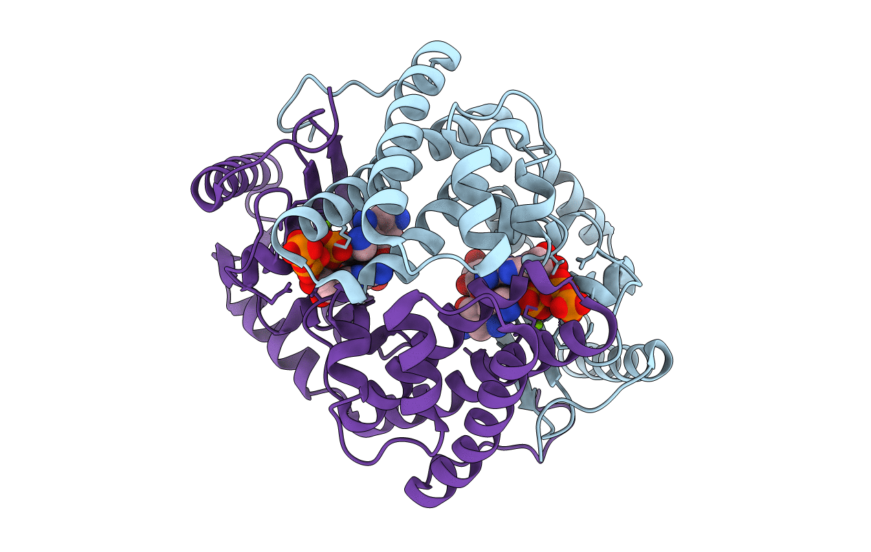 6P08 image