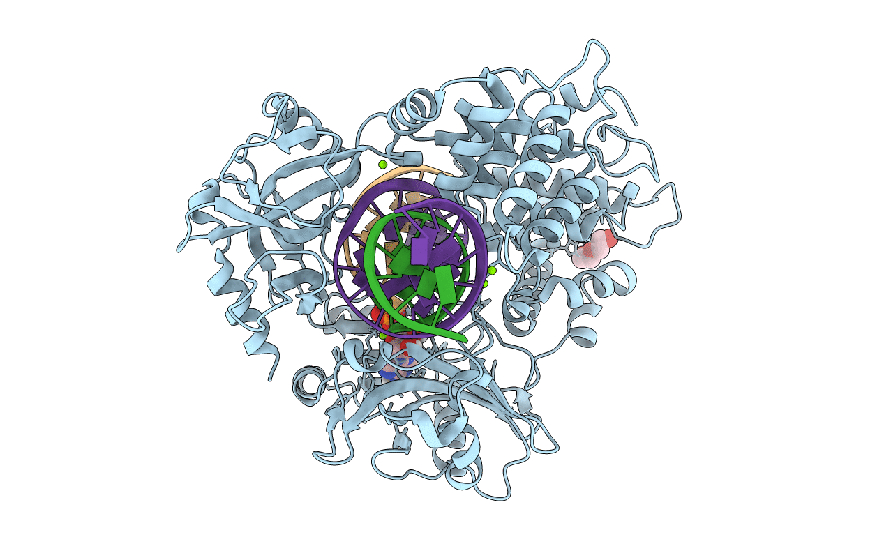 6P09 image