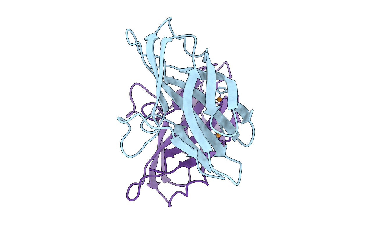 6P16 image