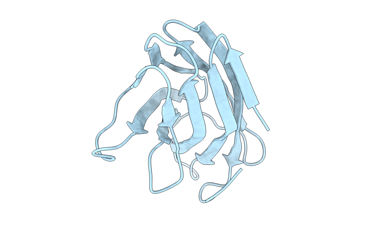 6P1F image