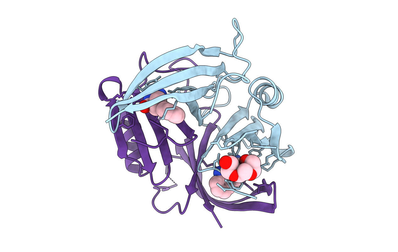 6P29 image