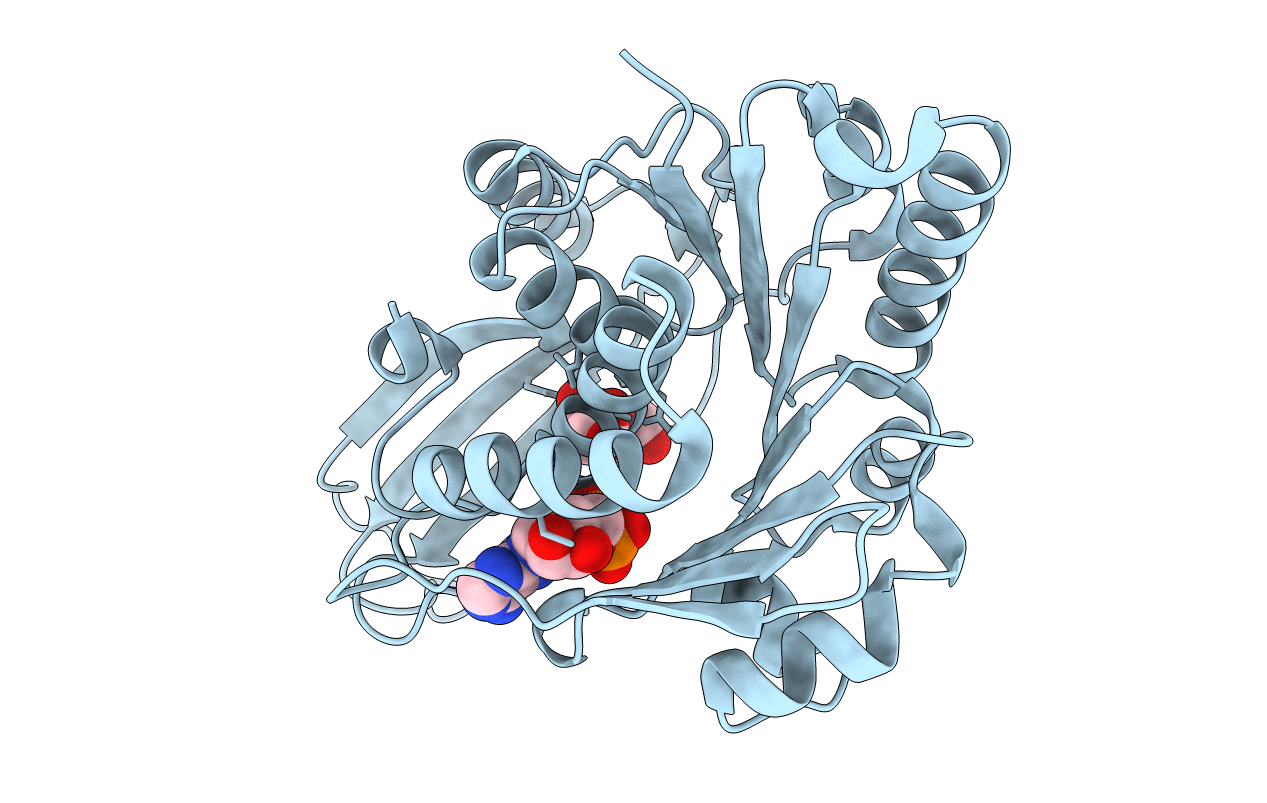 6P2D image
