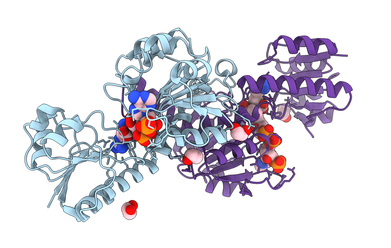 6P2I image