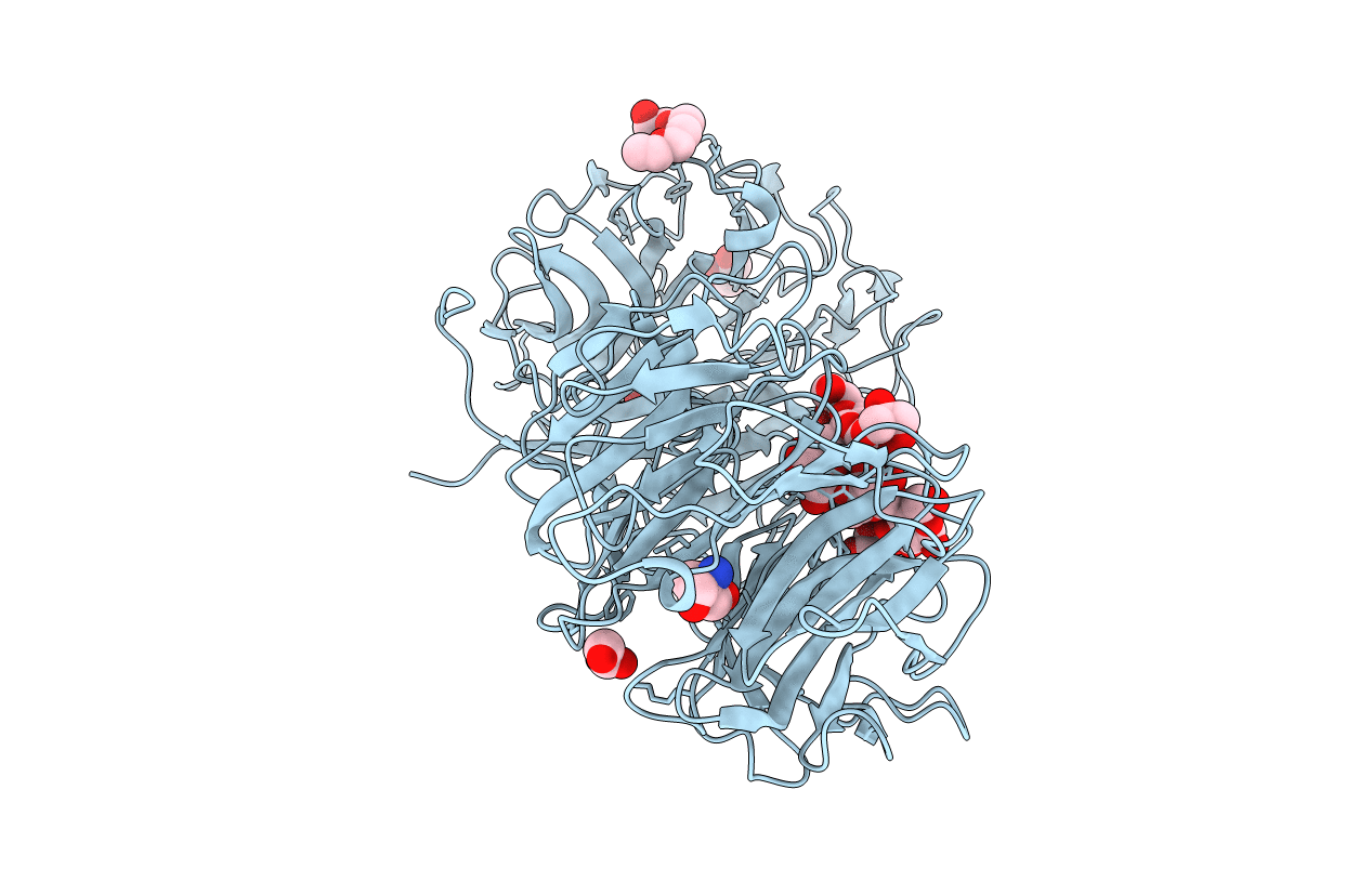 6P2M image