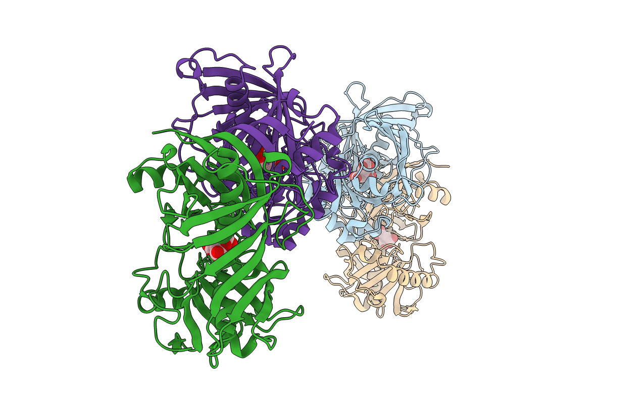 6P3H image