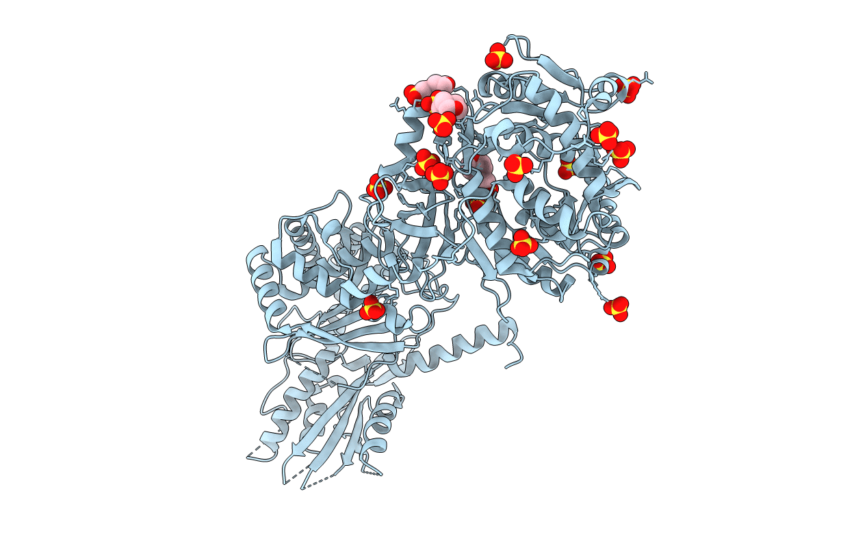 6P3I image