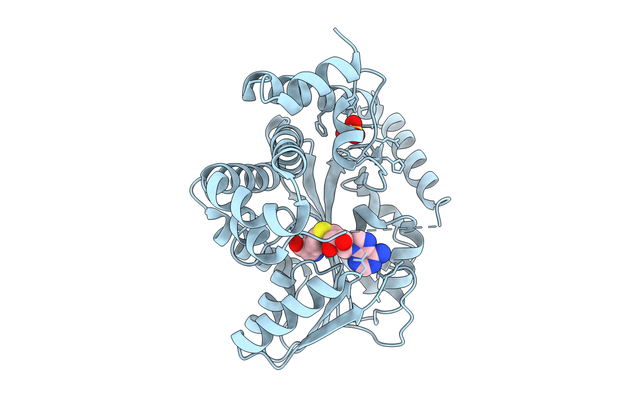 6P3M image