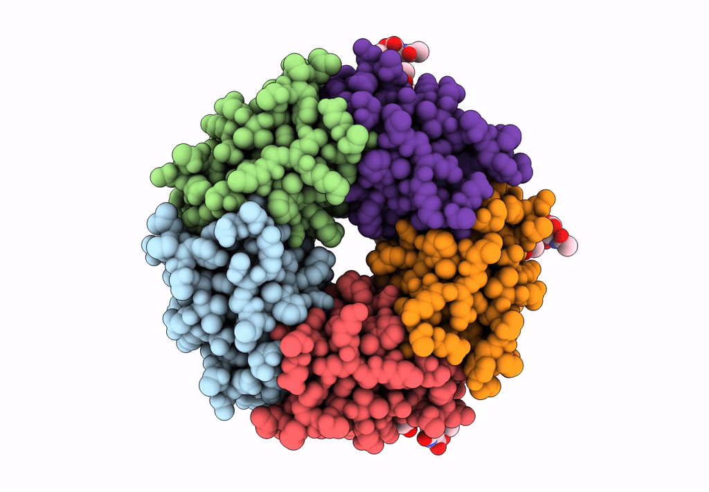 6P4N image