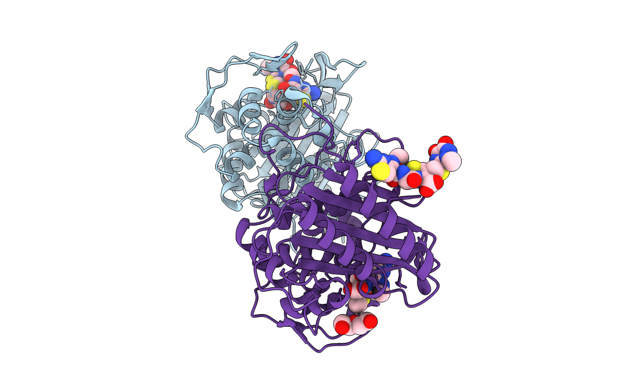 6P54 image