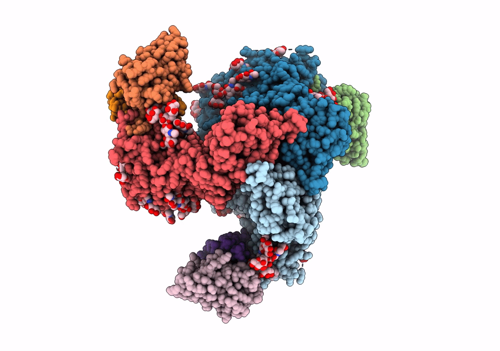 6P62 image