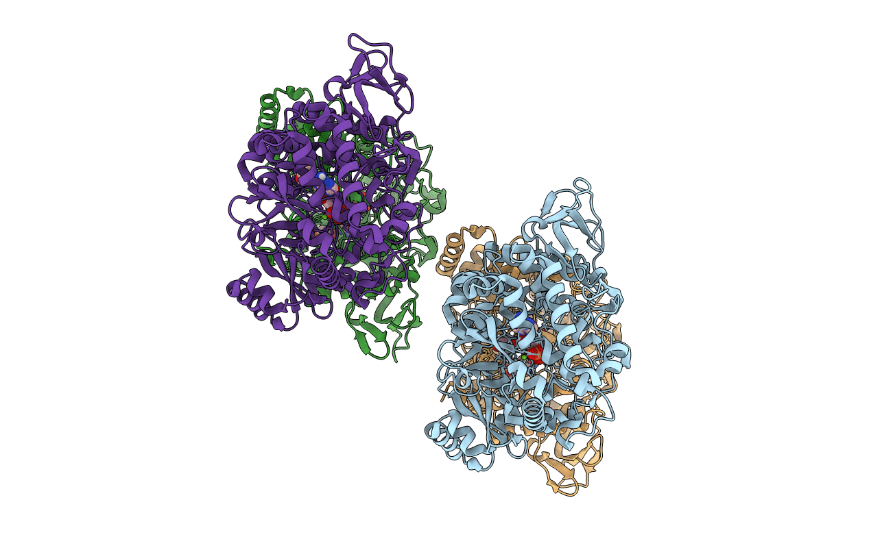 6P63 image