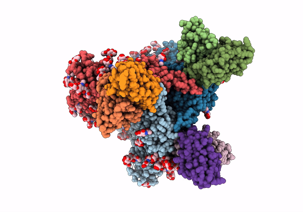6P65 image