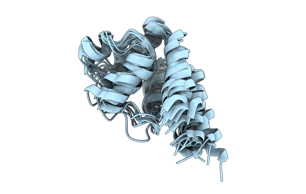 6P6B image
