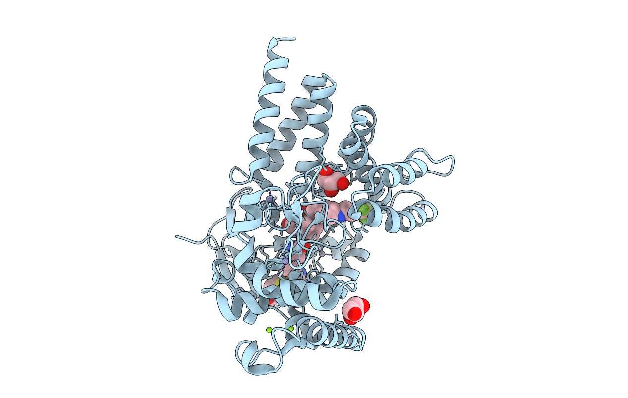 6P6G image
