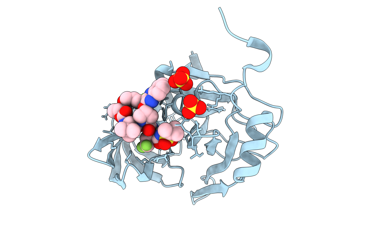 6P6O image