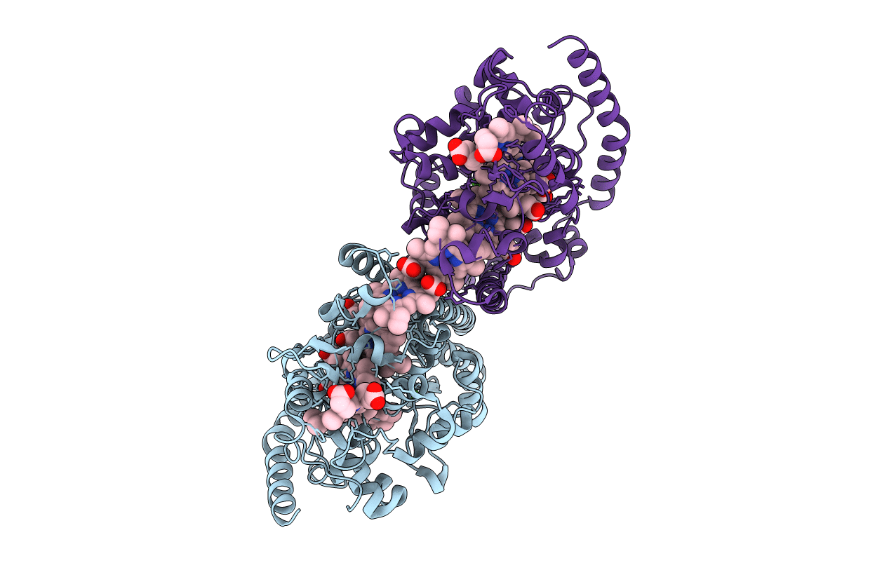 6P73 image
