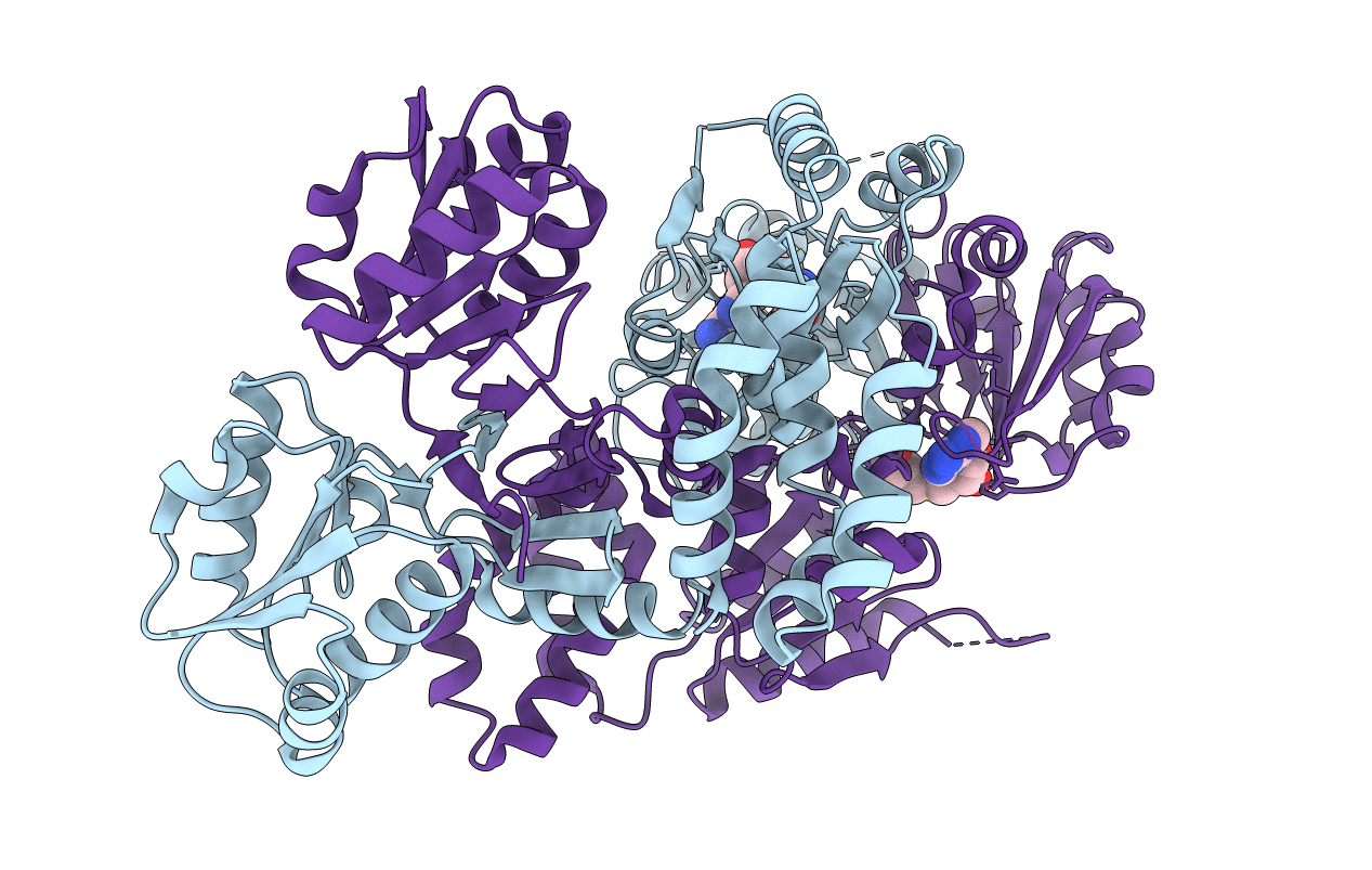 6P7D image