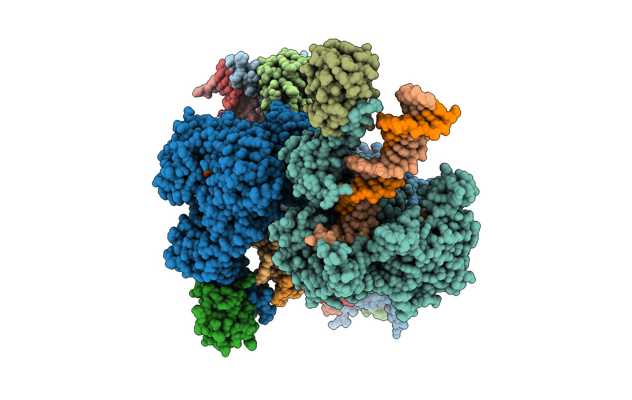 6P7E image