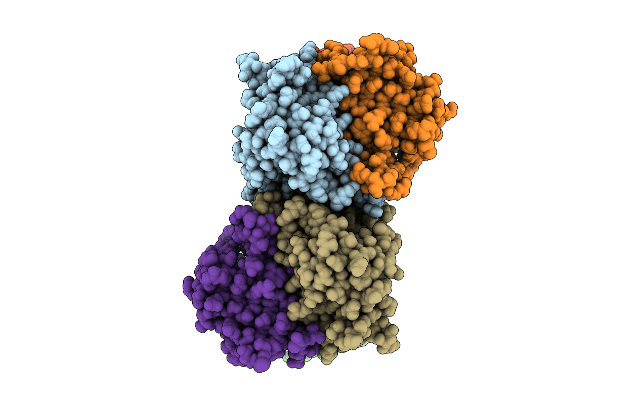 6P7L image