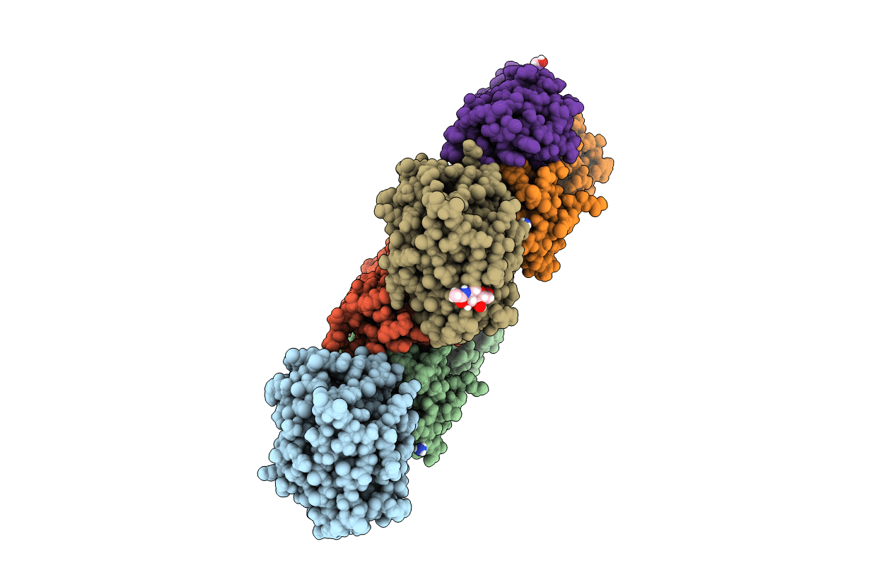 6P8N image