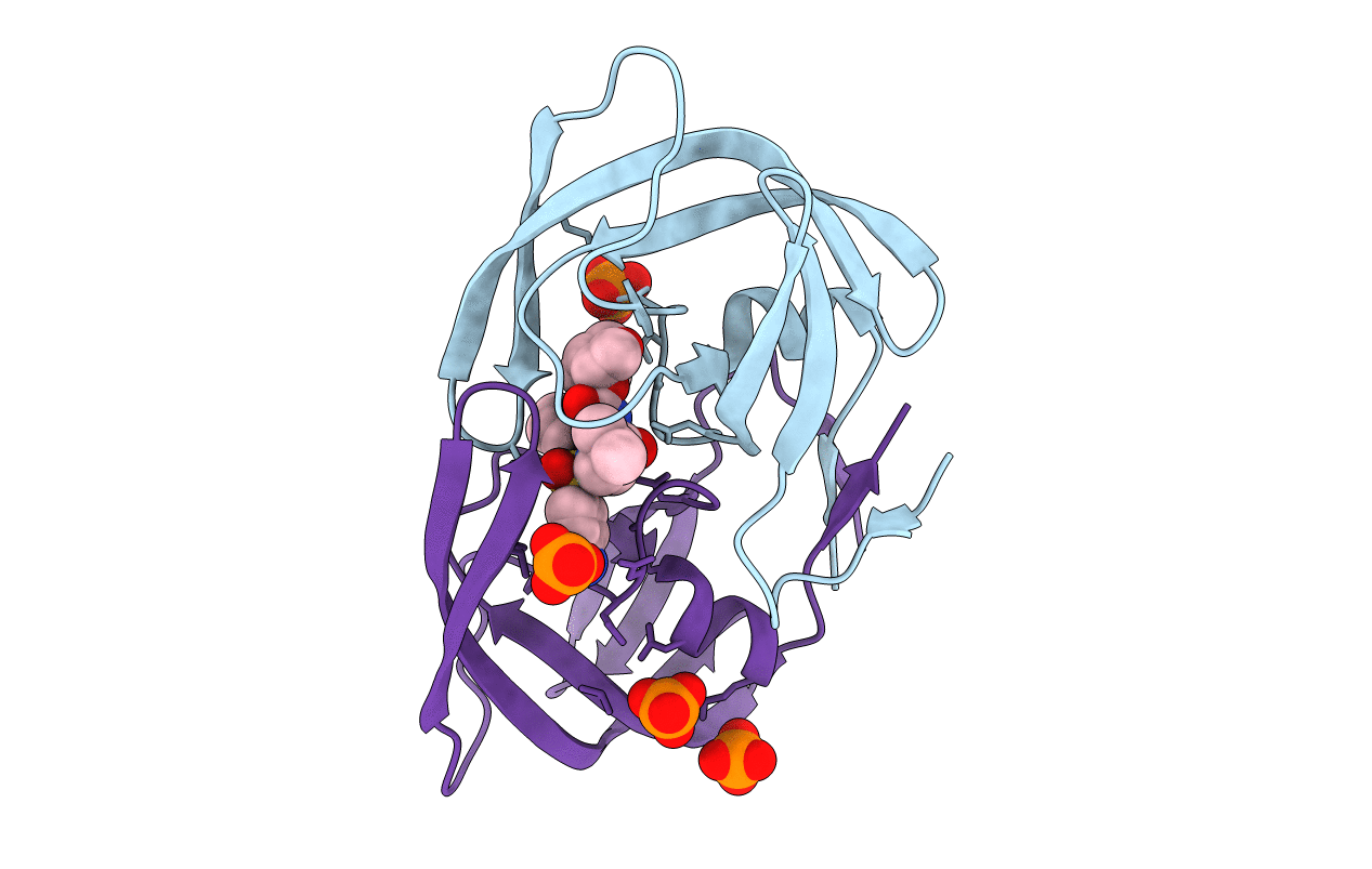 6P9A image